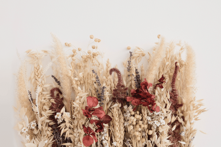 Droogbloemen