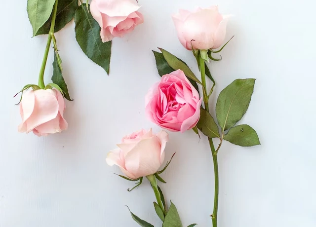 Tips voor een romantische woonstijl