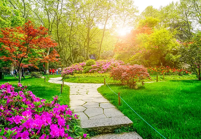 Creatieve oplossingen voor in de tuin